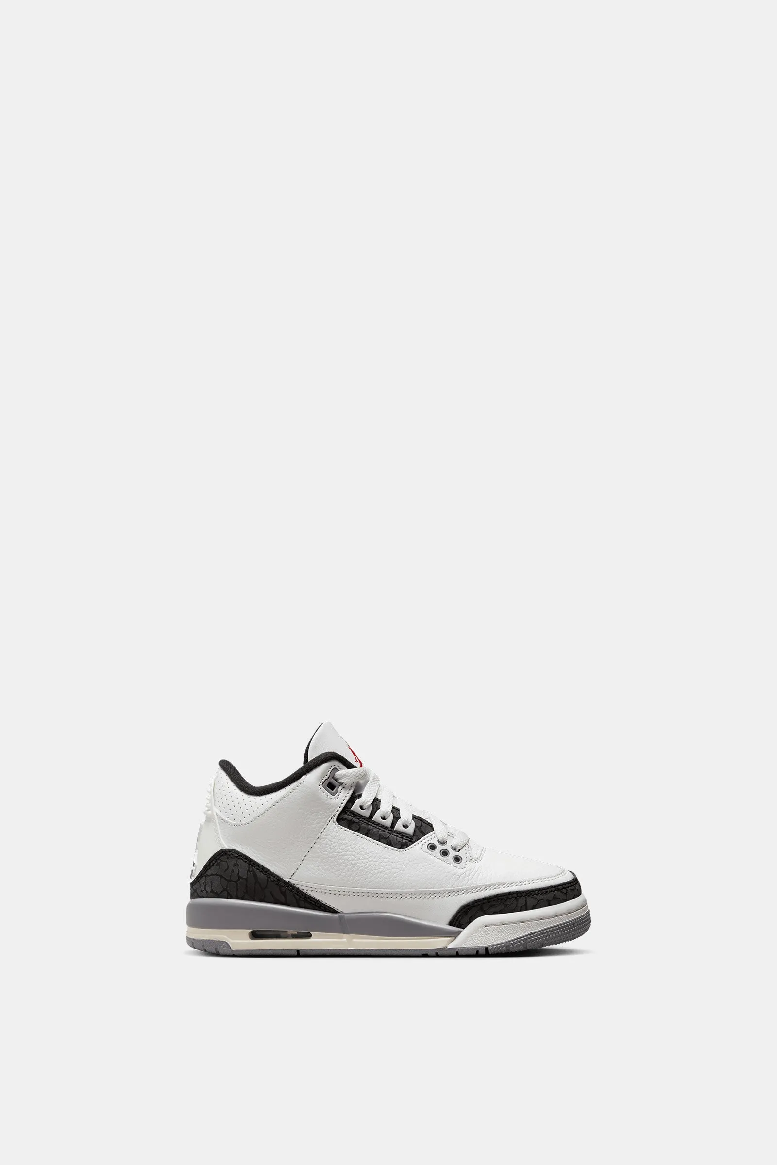 Air Jordan 3 Retro (GS)
