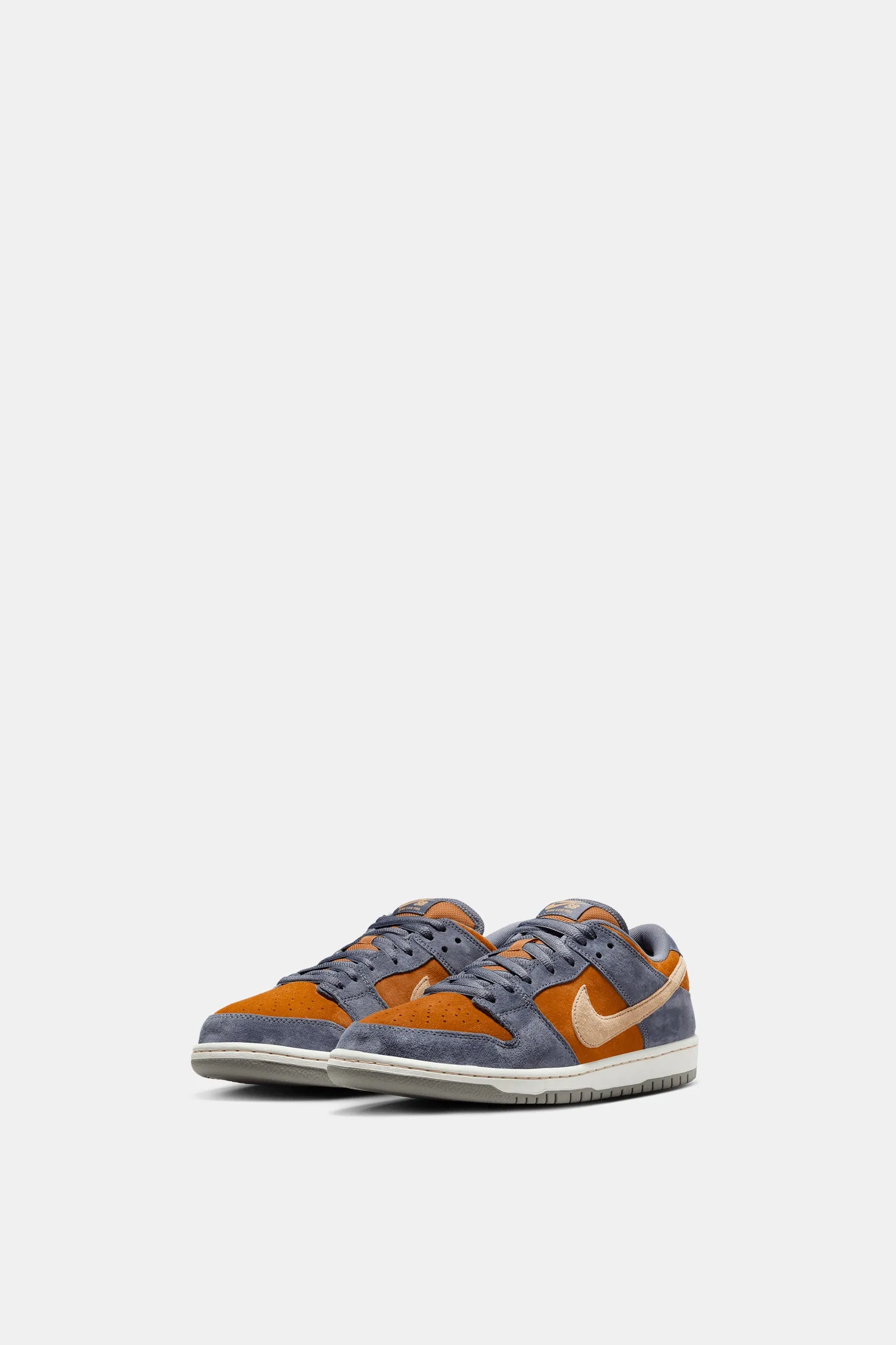 Nike SB Dunk Low Pro