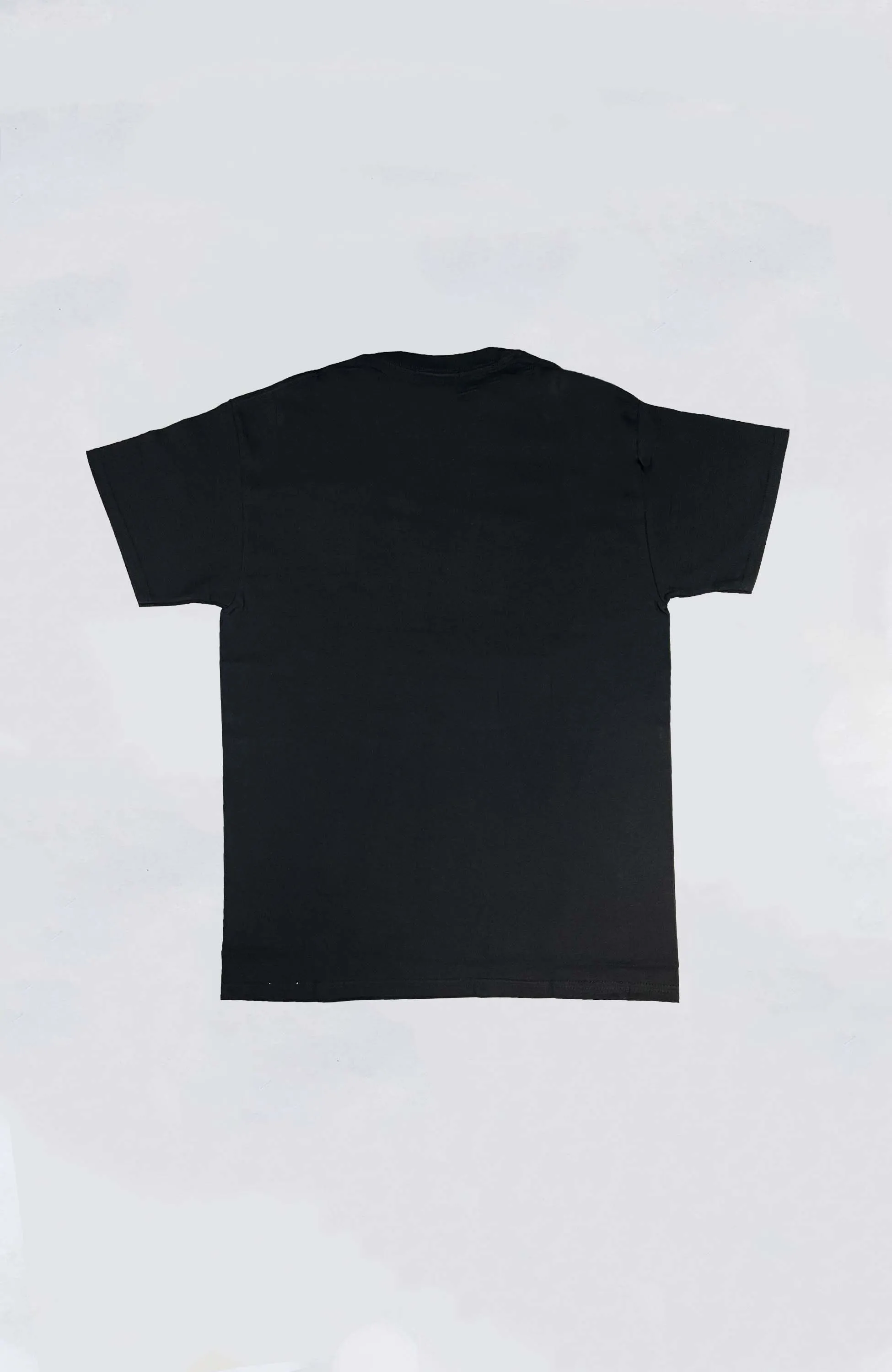 XLARGE - XLRG x ISH Standard Logo Premium Tee